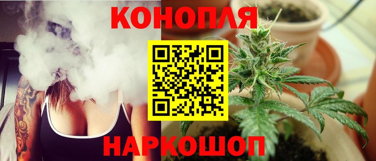 Канабис планчик Прокопьевск